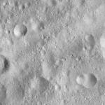 FC21A0008750_11276025504F4X.jpg