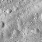 FC21A0008753_11276025525F7X.jpg