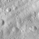 FC21A0008754_11276025531F8X.jpg