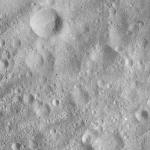 FC21A0008761_11276030056F7X.jpg