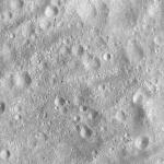 FC21A0008763_11276030543F1X.jpg