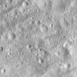 FC21A0008765_11276030556F3X.jpg