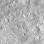 FC21A0008766_11276030603F4X.jpg