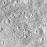 FC21A0008767_11276030609F5X.jpg