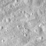 FC21A0008769_11276030623F7X.jpg
