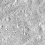 FC21A0008770_11276030630F8X.jpg