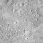 FC21A0008772_11276031120F2X.jpg