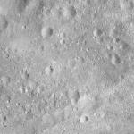 FC21A0008773_11276031128F3X.jpg
