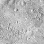 FC21A0008775_11276031142F5X.jpg