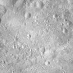 FC21A0008776_11276031152F6X.jpg