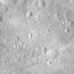 FC21A0008778_11276031206F8X.jpg