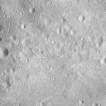 FC21A0008784_11276031715F6X.jpg