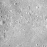 FC21A0008786_11276031730F8X.jpg