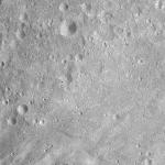 FC21A0008789_11276032229F3X.jpg