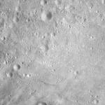FC21A0008792_11276032250F6X.jpg