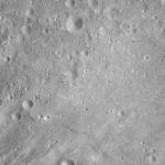 FC21A0008793_11276032258F7X.jpg