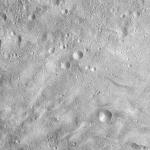 FC21A0008798_11276032803F4X.jpg