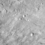 FC21A0008800_11276032819F6X.jpg
