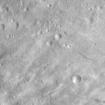 FC21A0008802_11276032831F8X.jpg