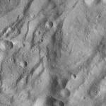 FC21A0008828_11276041318F2X.jpg