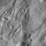 FC21A0008833_11276041404F7X.jpg