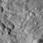 FC21A0008841_11276042557F7X.jpg