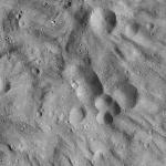 FC21A0008844_11276043721F2X.jpg
