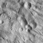 FC21A0008848_11276043747F6X.jpg