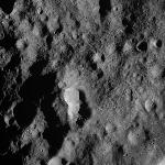 FC21A0008889_11276133154F7X.jpg