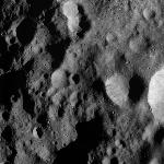 FC21A0008891_11276133907F1X.jpg