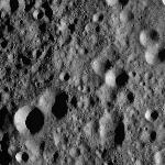 FC21A0008908_11276135515F2X.jpg
