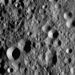 FC21A0008910_11276135527F4X.jpg