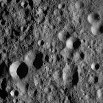FC21A0008913_11276135550F7X.jpg