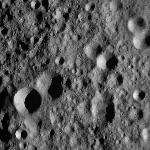 FC21A0008914_11276135557F8X.jpg