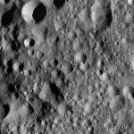 FC21A0008915_11276140307F1X.jpg