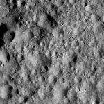 FC21A0008924_11276140849F2X.jpg