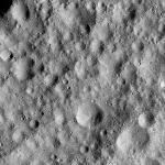 FC21A0008933_11276141419F3X.jpg