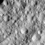 FC21A0008934_11276141425F4X.jpg