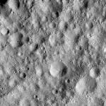 FC21A0008937_11276141447F7X.jpg