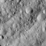 FC21A0008940_11276141944F2X.jpg