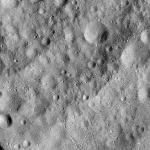 FC21A0008941_11276141950F3X.jpg