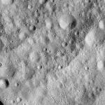 FC21A0008942_11276141956F4X.jpg