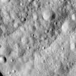FC21A0008943_11276142003F5X.jpg