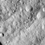 FC21A0008944_11276142010F6X.jpg