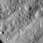 FC21A0008945_11276142017F7X.jpg