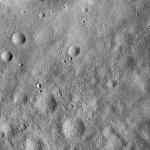 FC21A0008969_11276143650F7X.jpg