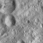 FC21A0008989_11276145251F3X.jpg
