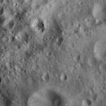 FC21A0009003_11276150338F1X.jpg