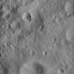 FC21A0009004_11276150345F2X.jpg