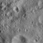 FC21A0009005_11276150355F3X.jpg